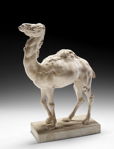 Camel