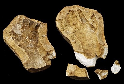 Mold of a Child's Hand