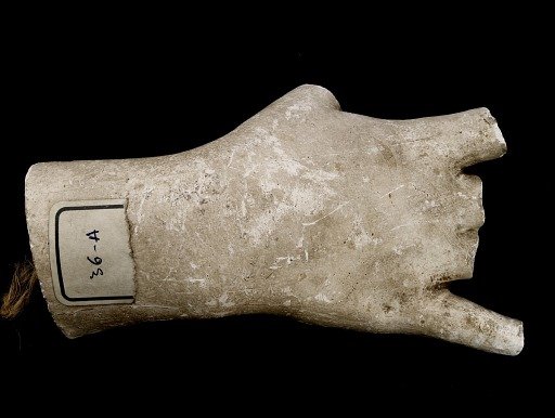 Cast of an Unidentified Right Hand, Shown Open (all fingers missing)