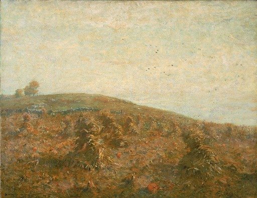 The Cornfield