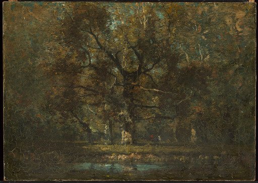 Oak Tree