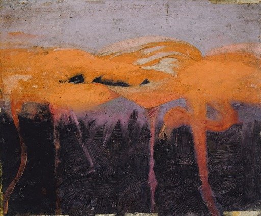 Red Flamingoes, study for book Concealing Coloration in the Animal Kingdom
