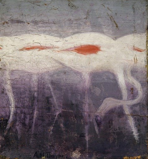 White Flamingoes, study for book Concealing Coloration in the Animal Kingdom
