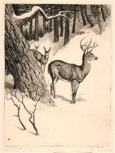 Deer Family