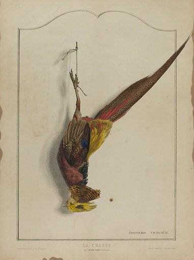 La Chasse: Le Faisan Dore