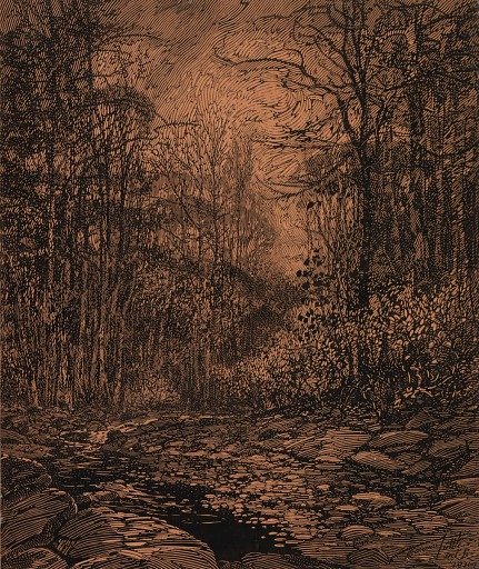 Spring Brook, Rock Creek Park