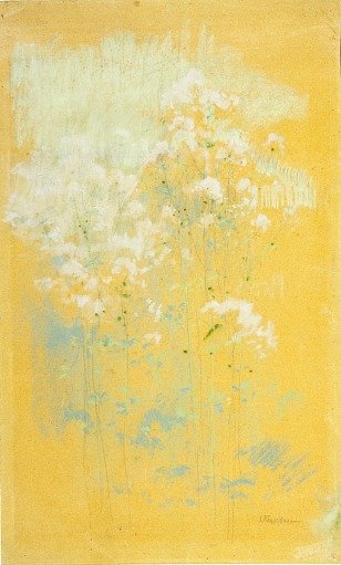 Wild Flowers