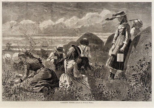 Gathering Berries