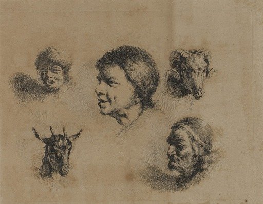 Heads--Three People, Two Animals