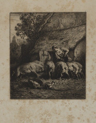 Woman Feeding Hogs