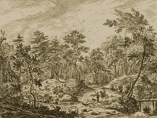 Landscape