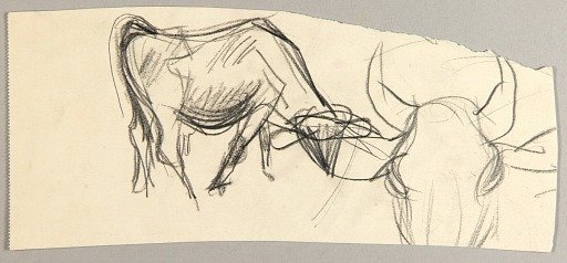 Oxen