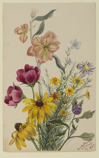 Group of Flowers
