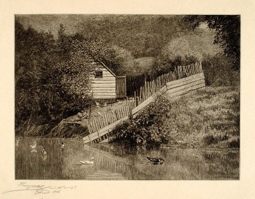 A Duck Pond