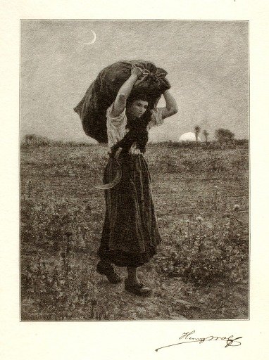Le Soir