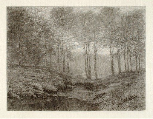 Summer Morning