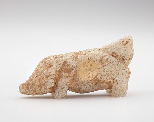 Pig