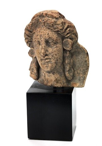 Female Head