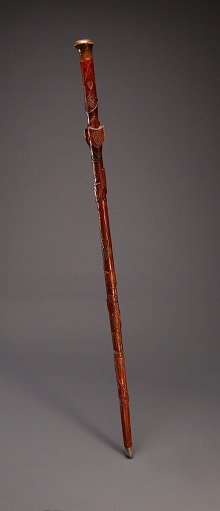Cane with Diverse Shields