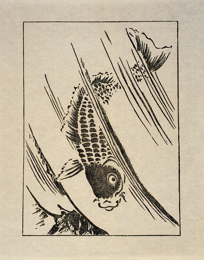Ipswich Prints: Fish leaping a waterfall
