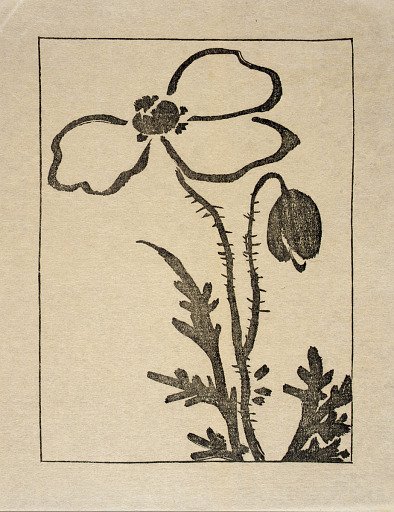 Ipswich Prints: Poppy