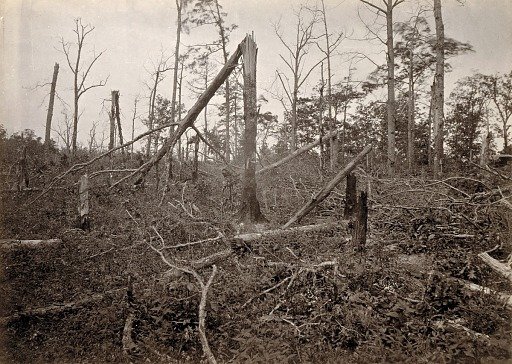 The "Hell Hole", New Hope Church, Georgia, from Photographic Views of Sherman's Campaign, plate 27