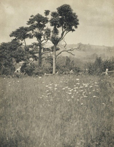 In the Hill Country