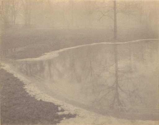 Pond in the Fog