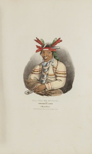 CAA-TAA-KE MUNG-GA or the Speckle'd Loon, A Miami Chief, from The Aboriginal Portfolio