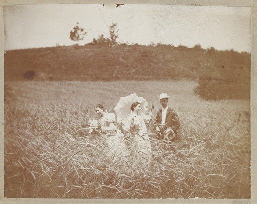 [Three Friends in a Field]