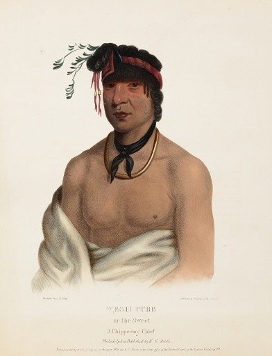 WESH-CUBB. A CHIPPEWAY CHIEF., From History of the Indian Tribes of North America