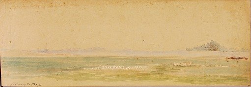 Plains of Carthage