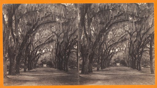 Bonaventure, Savannah, Georgia