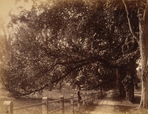 Pathway on Main Street, from the album Views of Charlestown, New Hampshire
