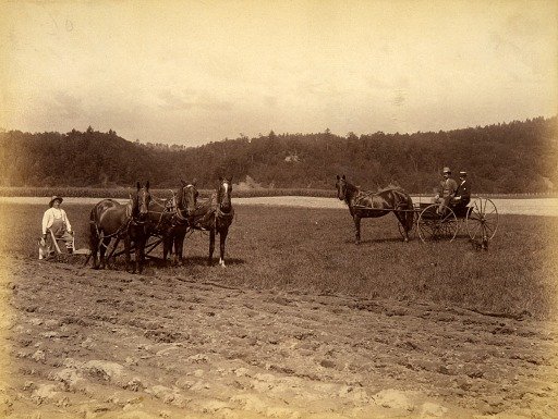 Wood's Farm Scene, from the album Views of Charlestown, New Hampshire