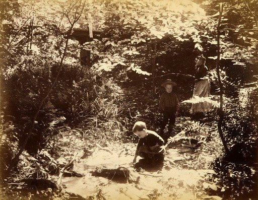 Scene in Fairy Dell, from the album Views of Charlestown, New Hampshire