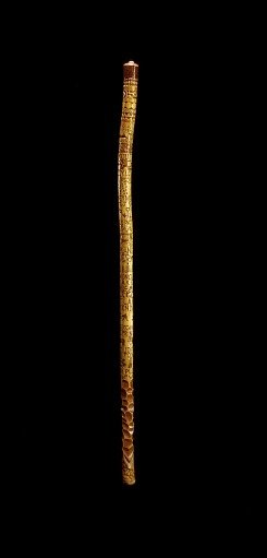 Cane with Incised Phrasing and Emblems Overall