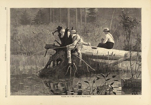 Waiting for a Bite, from Harper's Weekly, August 22, 1874