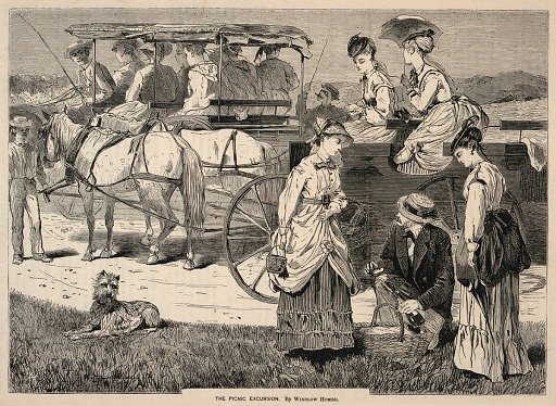The Picnic Excursion, from Appletons' Journal of Literature, Science, and Art, August 14, 1869