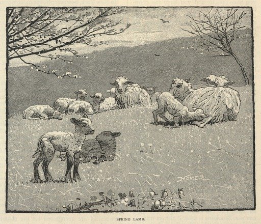 Spring Lamb, from Scribner's Monthly, June 1880