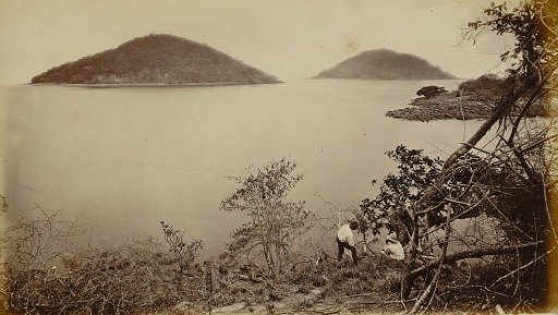 Perico and Flamenco - from Island of Naos, Panama
