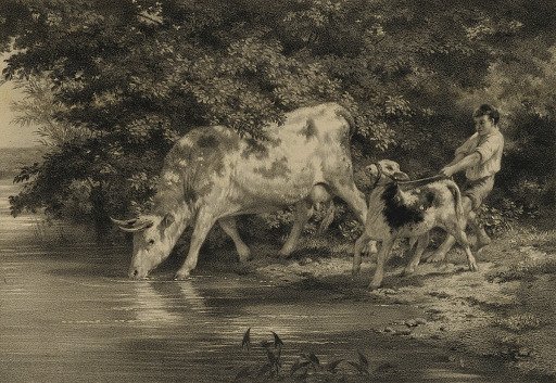 Boy with Cow and Calf by River