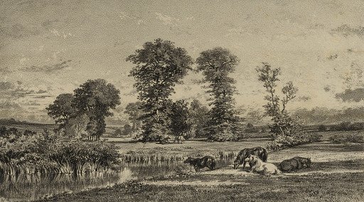 Horses Grazing