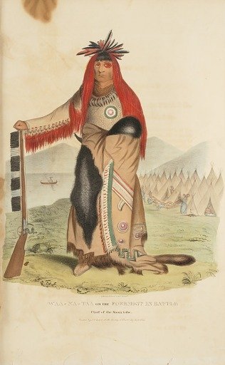 WAA-NA-TAA or the Foremost in Battle; Chief of the Sioux Tribe, from The Aboriginal Portfolio