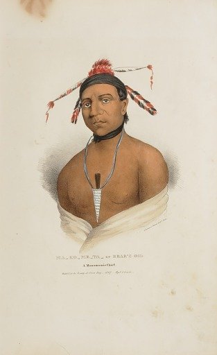 MA-KO-ME-TA or the Bear's Oil; A Monomonie Chief, from The Aboriginal Portfolio