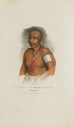 MA-CHE-KA-KAT or the Bad Hawk; A Monomonie Chief, from The Aboriginal Portfolio