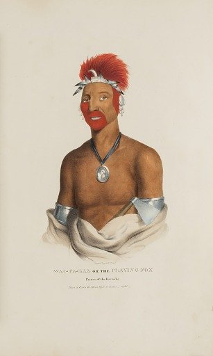 WAA-PA-LAA or the Playing Fox; Prince of the Fox Tribe, from The Aboriginal Portfolio