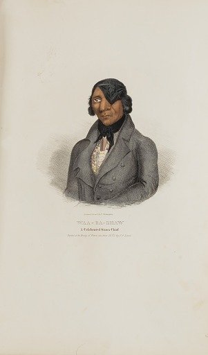 WAA-BA-SHAW; A Celebrated Sioux Chief, from The Aboriginal Portfolio