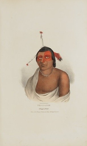PE-A-JICK; A Chippewa Chief, from The Aboriginal Portfolio