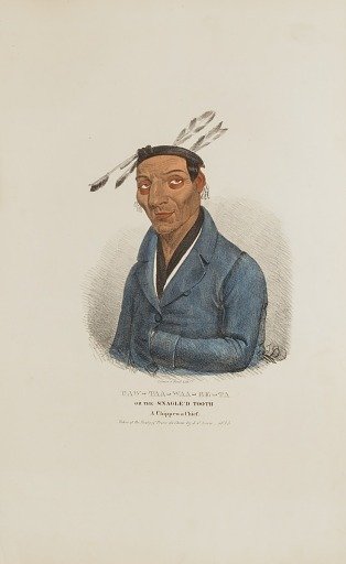 CAW-TAA-WAA-BE-TA or the Snagle'd Tooth; A Chippewa Chief, from The Aboriginal Portfolio